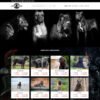 mau-website-ban-cho-san-skymedia-218-1