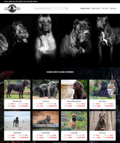 mau-website-ban-cho-san-skymedia-218-1