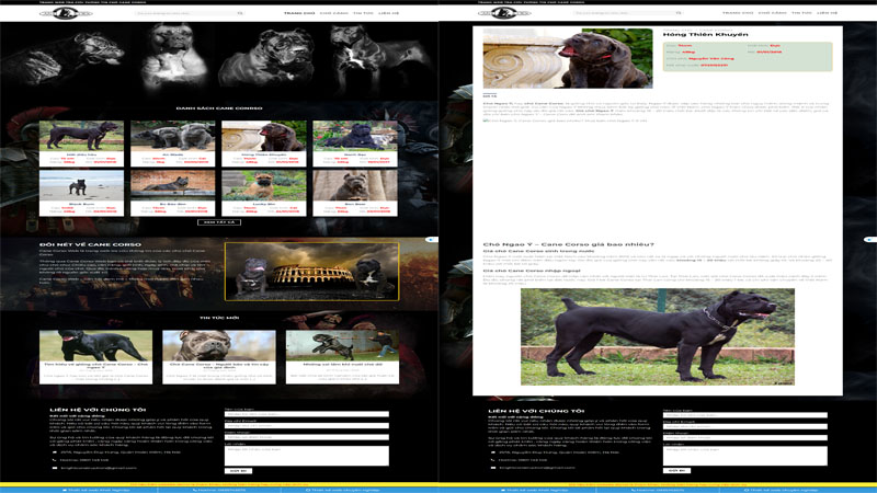 mau-website-ban-cho-san-skymedia-218-2