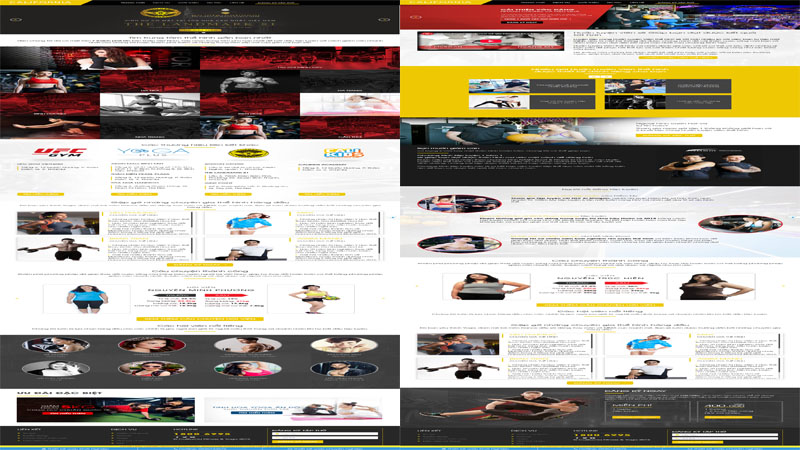 mau-website-phong-tap-gym-skymedia-148-2