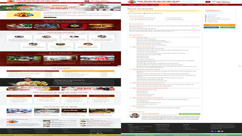 mau-website-khoa-hoc-phong-thuy-skymedia-133-2