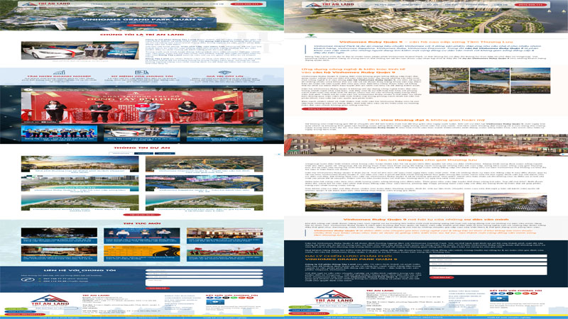 mau-website-bat-dong-san-skymedia-100-2