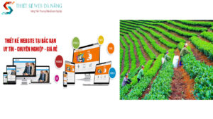 thiet-ke-website-bac-kan-chuyen-nghiep-uy-tin