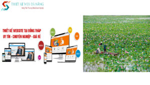 thiet-ke-website-dong-thap-chuyen-nghiep-uy-tin-8