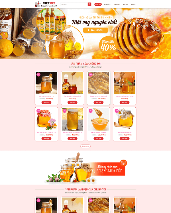 thiet-ke-website-dong-thap-chuyen-nghiep-uy-tin