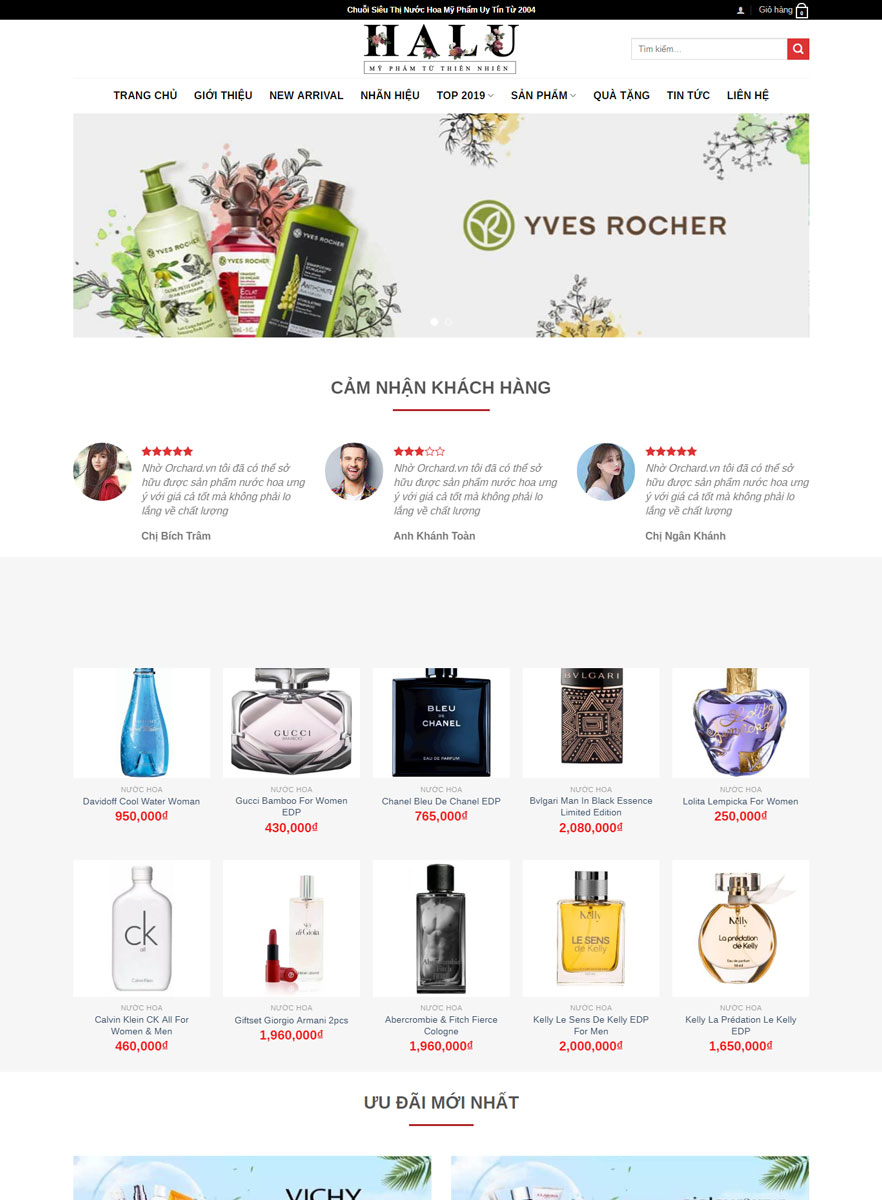 thiet-ke-website-hung-yen-chuyen-nghiep-uy-tin-gia-tot-1