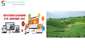 thiet-ke-website-thai-nguyen-chuyen-nghiep-uy-tin-gia-tot