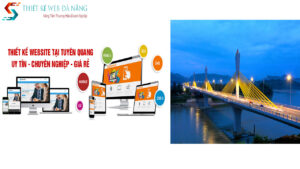 thiet-ke-website-tuyen-quang-chuyen-nghiep-uy-tin-gia-re-6