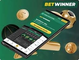 Exploring the BetWinner Platform Your Guide to Online Betting